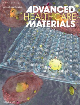 Peak_Advanced_Healthcare_Materials_2019_Cover